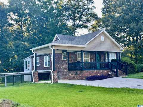 21039 TAMMIE DRIVE, LAKE VIEW, AL 35111