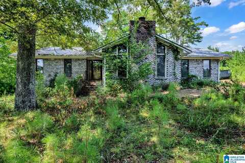 587 MOUNTAIN DRIVE, REMLAP, AL 35133