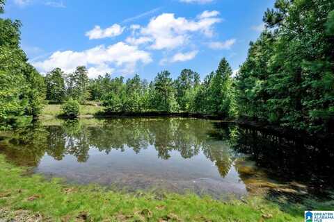 587 MOUNTAIN DRIVE, REMLAP, AL 35133