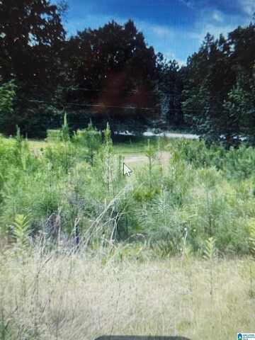 587 MOUNTAIN DRIVE, REMLAP, AL 35133
