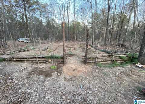 12700 PLANT ROAD, ALPINE, AL 35014