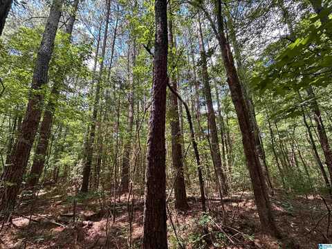 0 COUNTY ROAD 42, ONEONTA, AL 35121