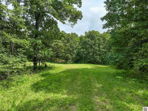 1134 Pisgah Road, Smithland, KY 42081