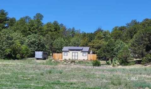 393 Canyon Rd, Texas Creek, CO 81223