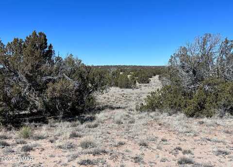 004a N N7204, Saint Johns, AZ 85936