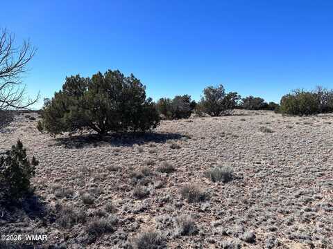 004q N N7204, Saint Johns, AZ 85936