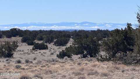004p N N7204, Saint Johns, AZ 85936