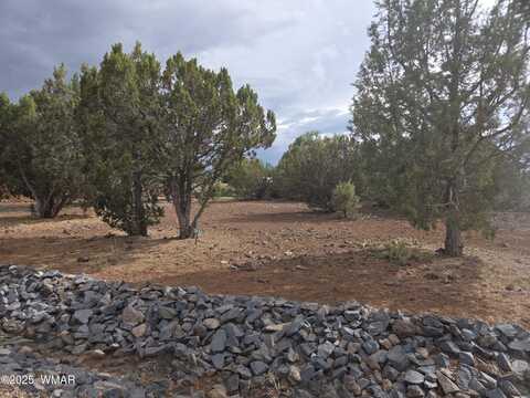 1936 Passage Drive, Show Low, AZ 85901