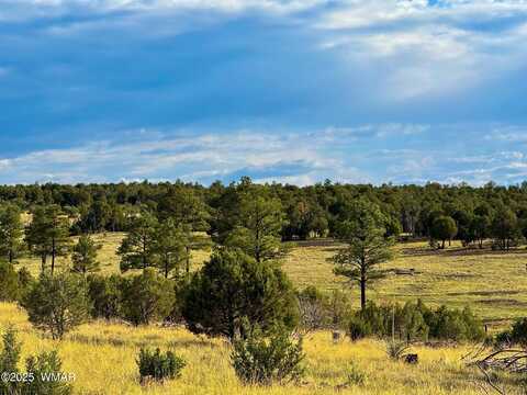 Tbd Flake RD 5.08 Acres, Aripine, AZ 85933