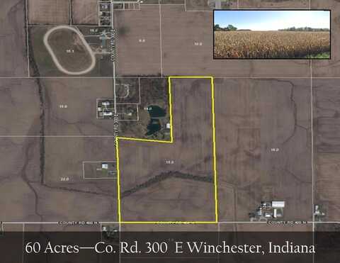 0 E Co Rd 300 E, Winchester, IN 47394