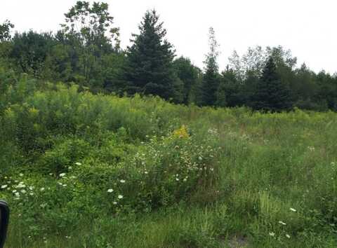 139 Saxby Road, Windsor, NY 13865