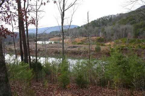8 Lakeview Drive, Rising Fawn, GA 30738