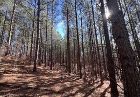 0 Wildlife Way, Guild, TN 37340