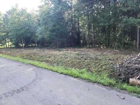 000 Lakeforest Drive, Birchwood, TN 37308