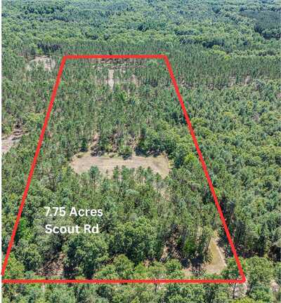 7.75 ACRES SCOUT ROAD, MEARS, MI 49436