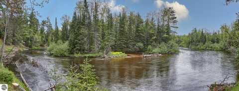 11208 RED DOG TRAIL, GRAYLING, MI 49738