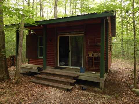 204 N CATALPA AVENUE, WHITE CLOUD, MI 49349