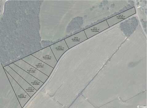 Lot 4 Gunters Island Rd., Galivants Ferry, SC 29544