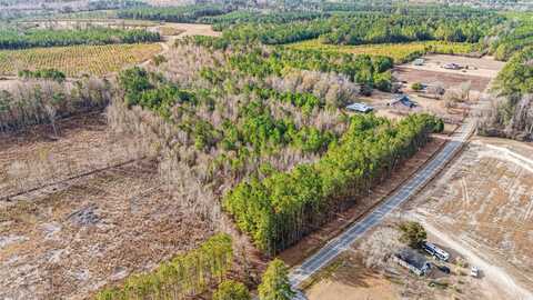 TBD Highway 430, Nichols, SC 29581