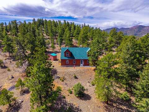 1136 Bird Point Drive, Cotopaxi, CO 81223