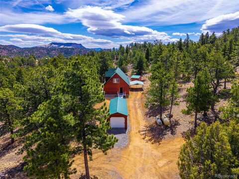 1136 Bird Point Drive, Cotopaxi, CO 81223