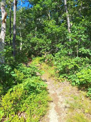 49 Oak Valley Road, Wellfleet, MA 02667