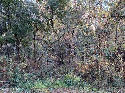 257 Wards Lane, Havelock, NC 28532