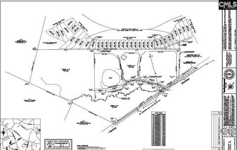 2544 Wessinger Rd, Chapin, SC 29036