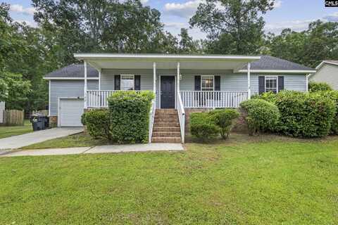 127 Moyer Drive, Chapin, SC 29036