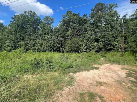 0 Roper Mountain Court, Lexington, SC 29073