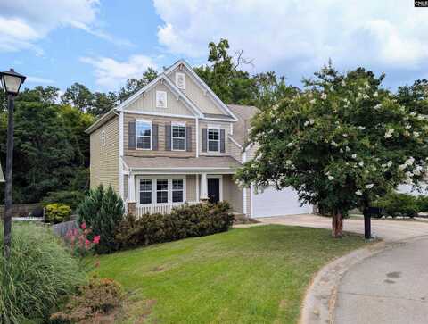 260 Eagle Pointe Drive, Chapin, SC 29036