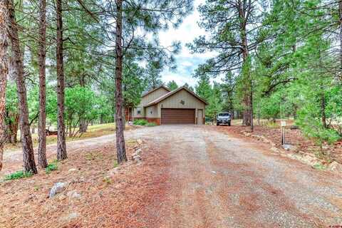 796 Hills Circle, Pagosa Springs, CO 81147