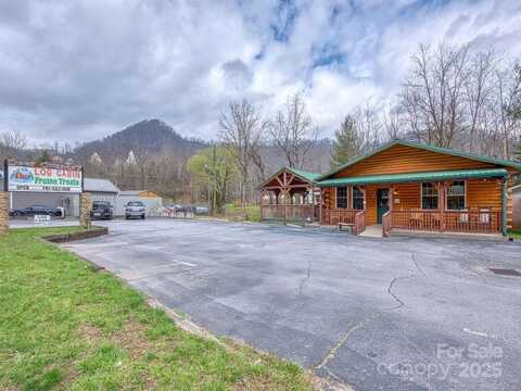 2052 Dellwood Road, Waynesville, NC 28786