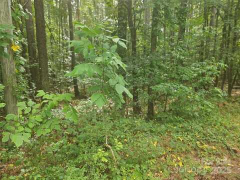1940 Orrs Station Road unit: 11, Chester, SC 29706