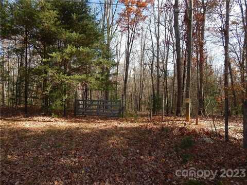 Thompson Cove Road, Clyde, NC 28721