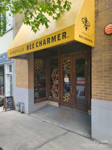 38 Battery Park Avenue, Asheville, NC 28801