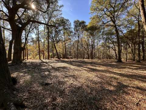 0 Cane Slash Road, Johns Island, SC 29455