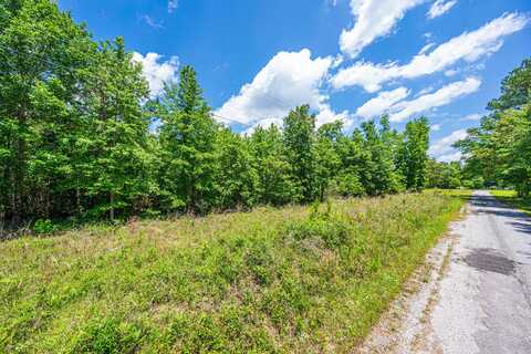 0 Park Circle, Branchville, SC 29432