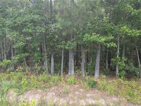Little Mill Road, Jarratt, VA 23867
