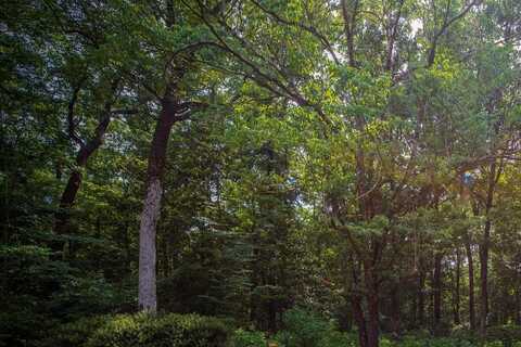 0 Suggs Road, Dothan, AL 36303