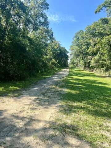 899th Ave, Old Town, FL 32680