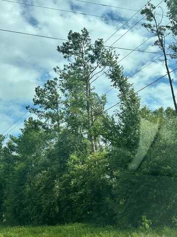9528 US Hwy 19, Perry, FL 32348