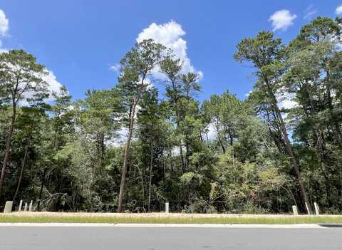 249 Foxglove Run, Niceville, FL 32578