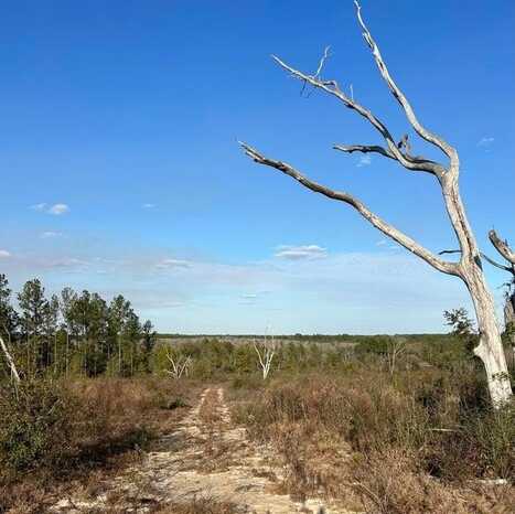 00 James Luther Rd, Ponce De Leon, FL 32455