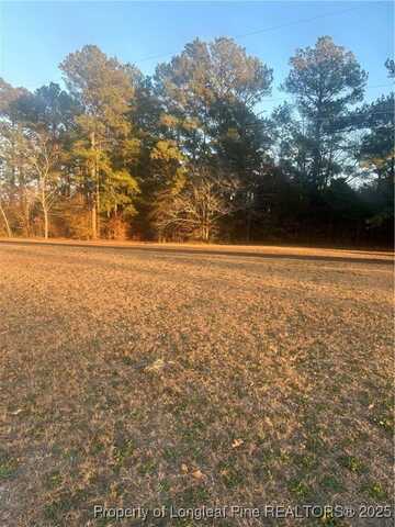 Greenbrier Lane, Red Springs, NC 28377