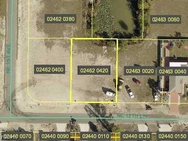 105 NE 12th Lane, Cape Coral, FL 33909