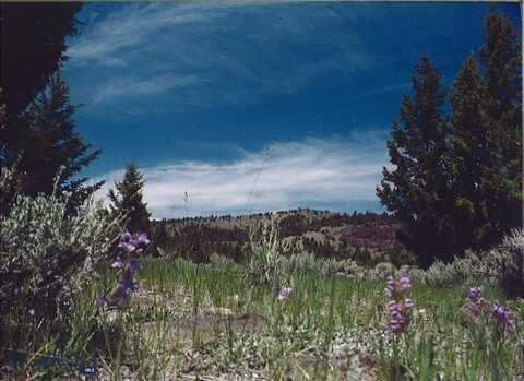Lookout Trail, Ramsay, MT 59701
