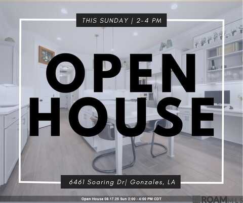 6461 Soaring Dr, Gonzales, LA 70737