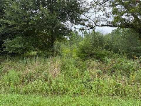 0 Novatan Road, Mobile, AL 36608