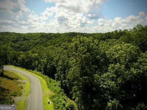 79 River Overlook, Ellijay, GA 30540
